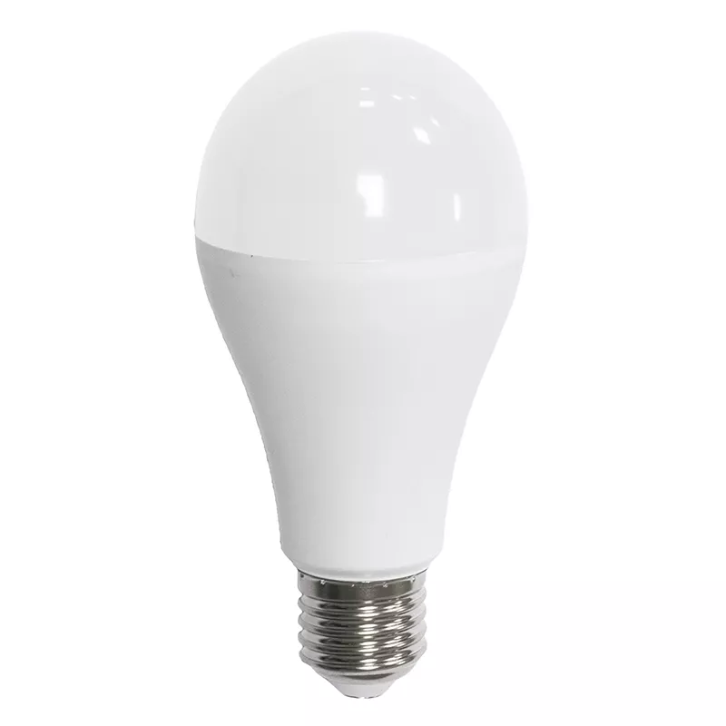 Estándar LED A65 200º 17W E27 5000K