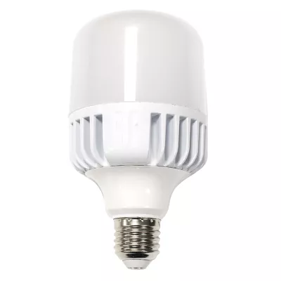 Ampoule LED T140 pour lampadaires 70 W 50 K