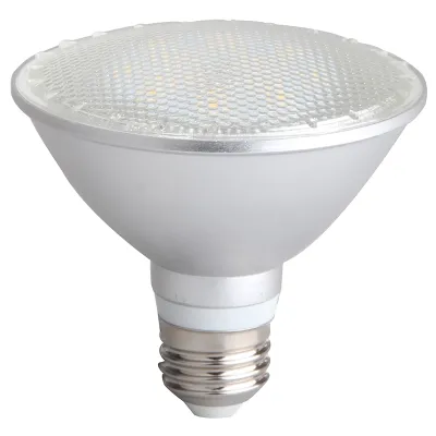 Ampoule LED PAR30 E27 30 K IP65