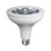 Ampoule LED PAR38 E27 16 W 60 K