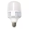 Bombilla LED T100 para farolas 30W 50K